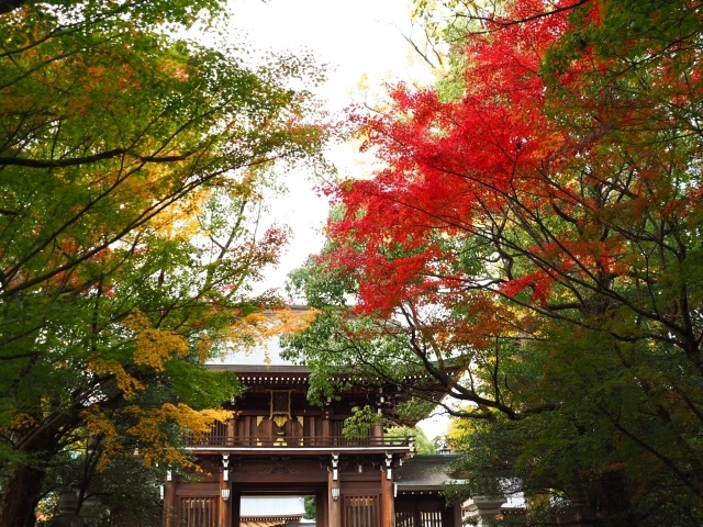 出雲大社　鳥居