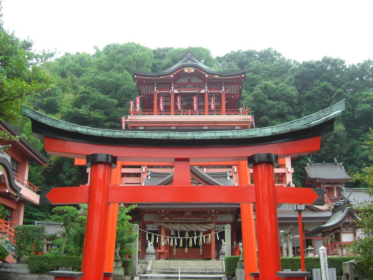 img004.jpg