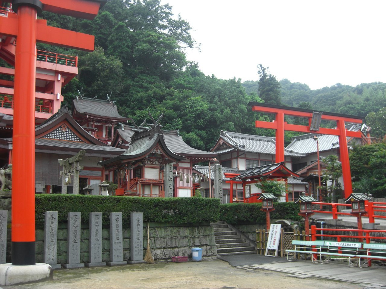 img006.jpg