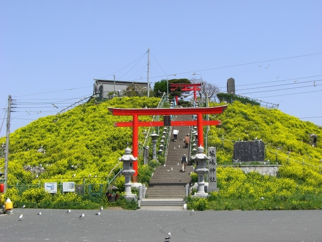 img20200415182846721055.jpg