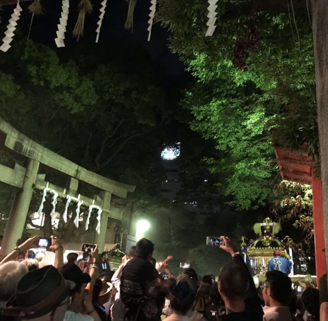 鶴岡八幡宮　花