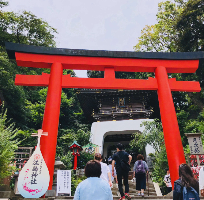 鶴岡八幡宮　花