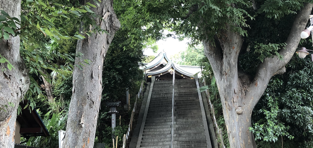 明治神宮　酒樽