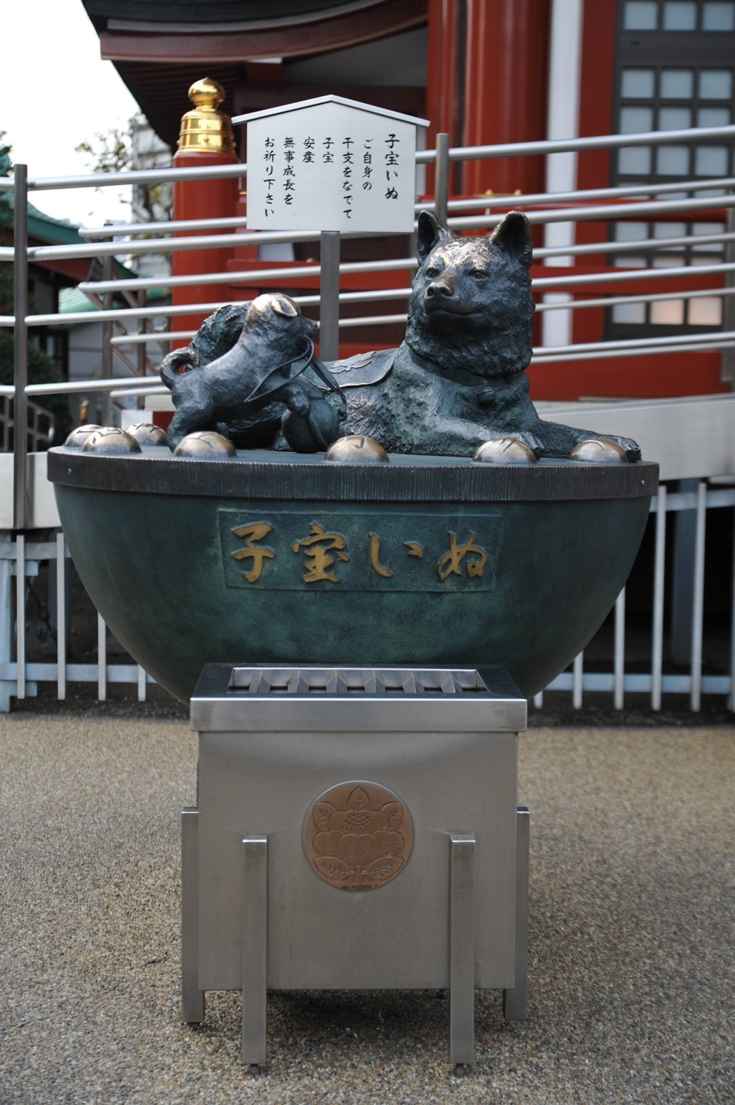img20200316113528153734.jpg