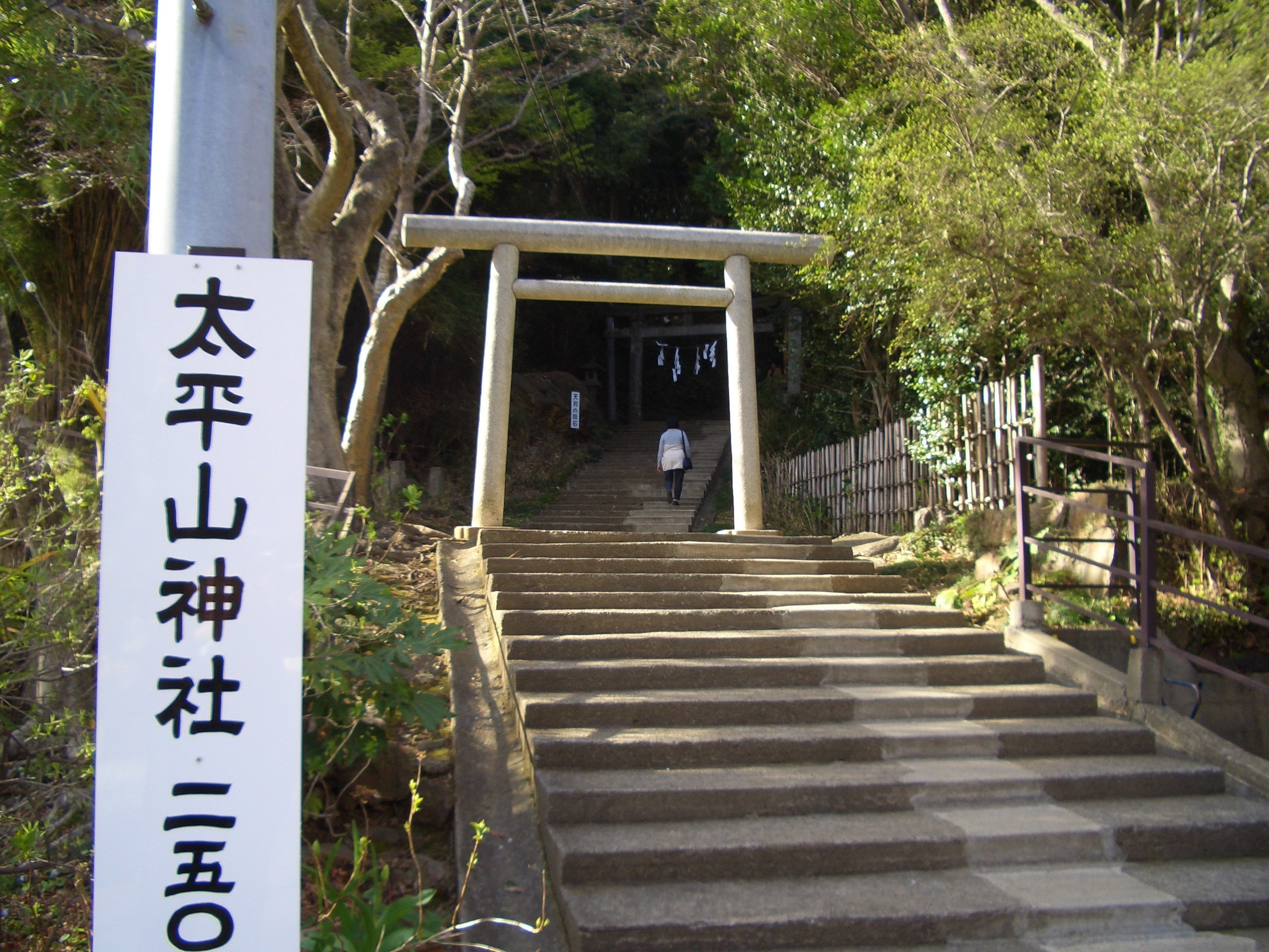 img20200409084747333862.jpg