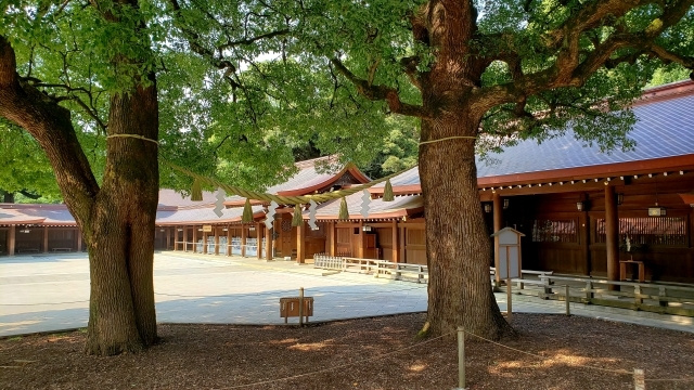 img20200430142042025516.jpg