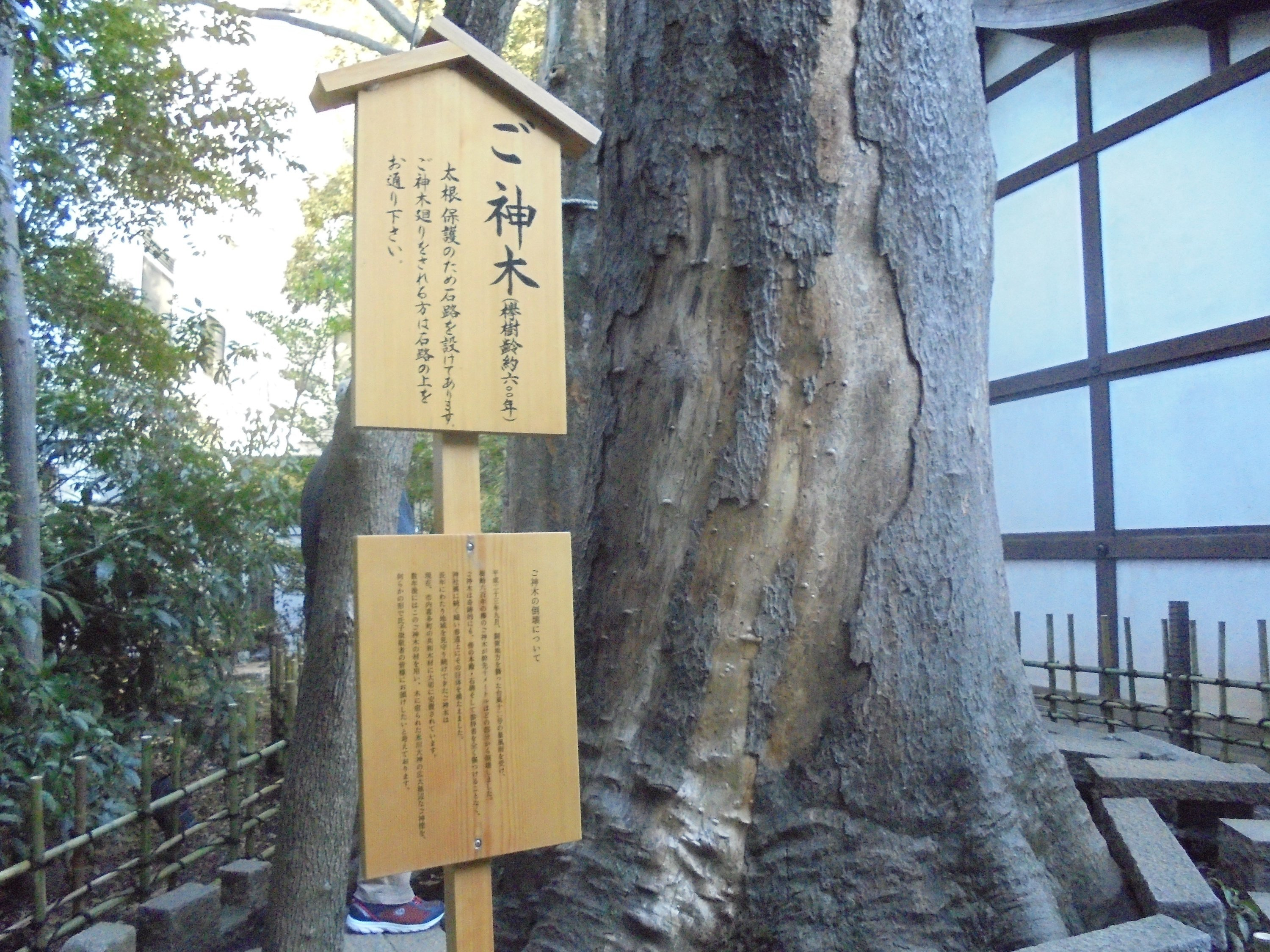 img019.jpg