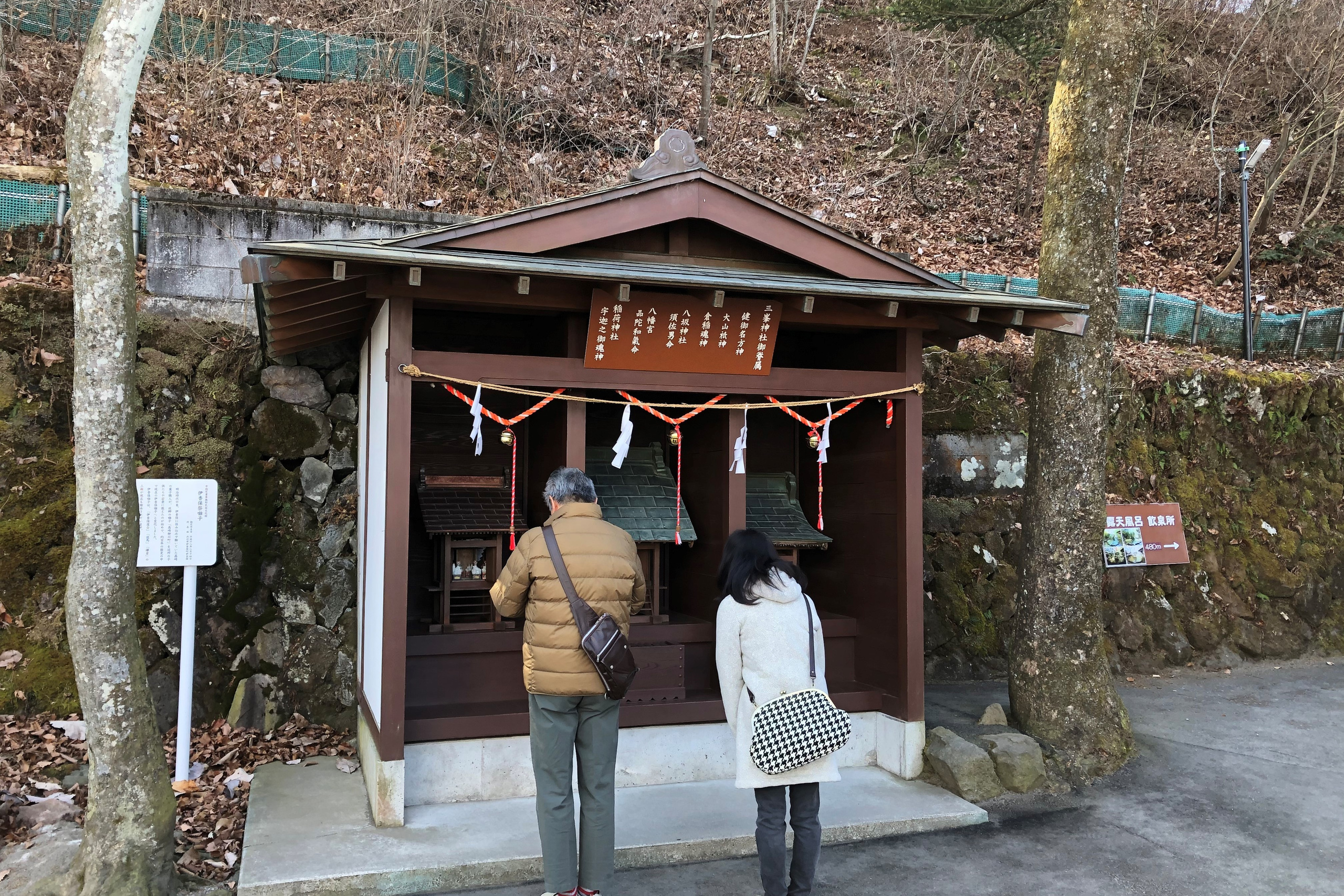 img20211028164048595191.jpg