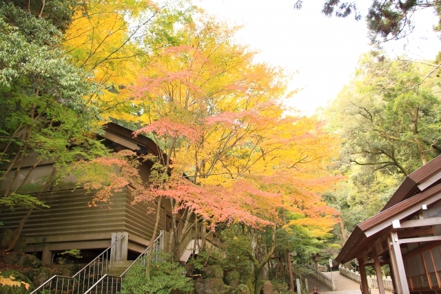 多度 紅葉