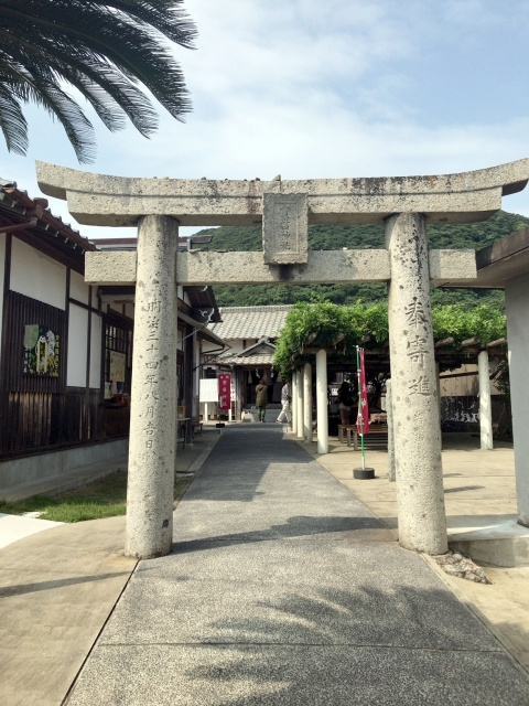 img20191126140304324568.jpg