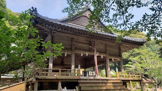 img20191126162315888204.jpg